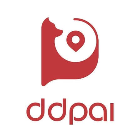 DDPAI logo