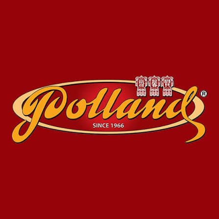 Polland logo